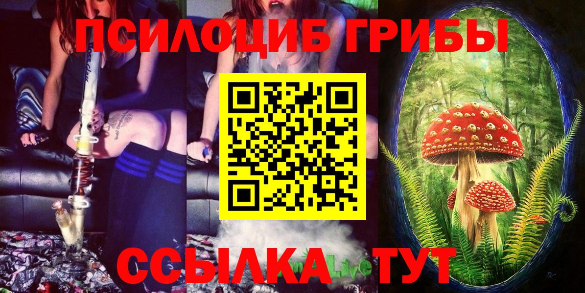 Мичуринск  Псилоцибиновые грибы мухоморы  купить  цена  Вход с VPN 